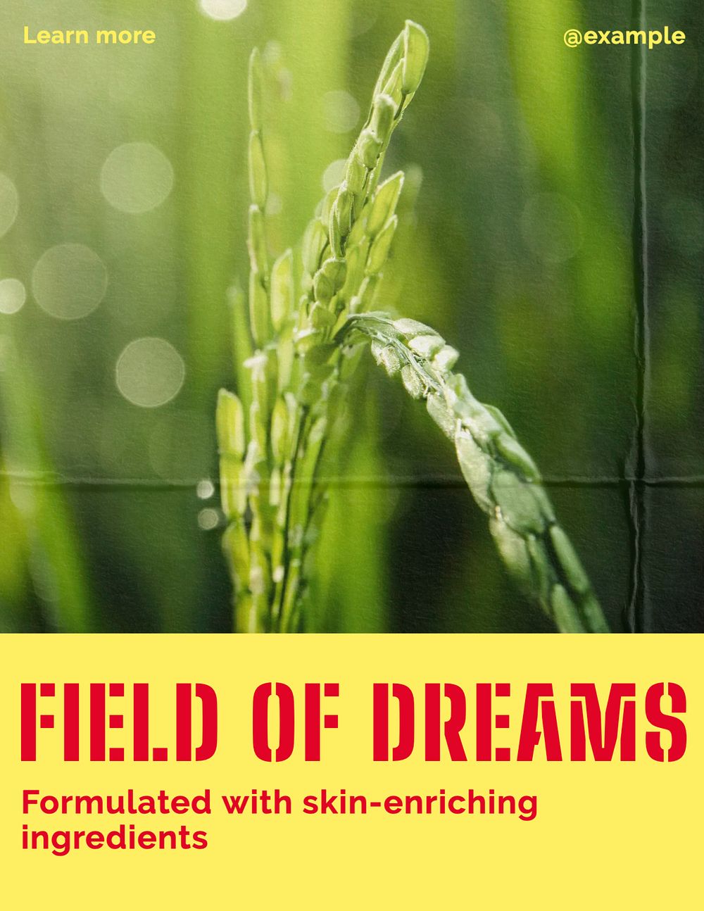 Field of dreams flyer template, editable text