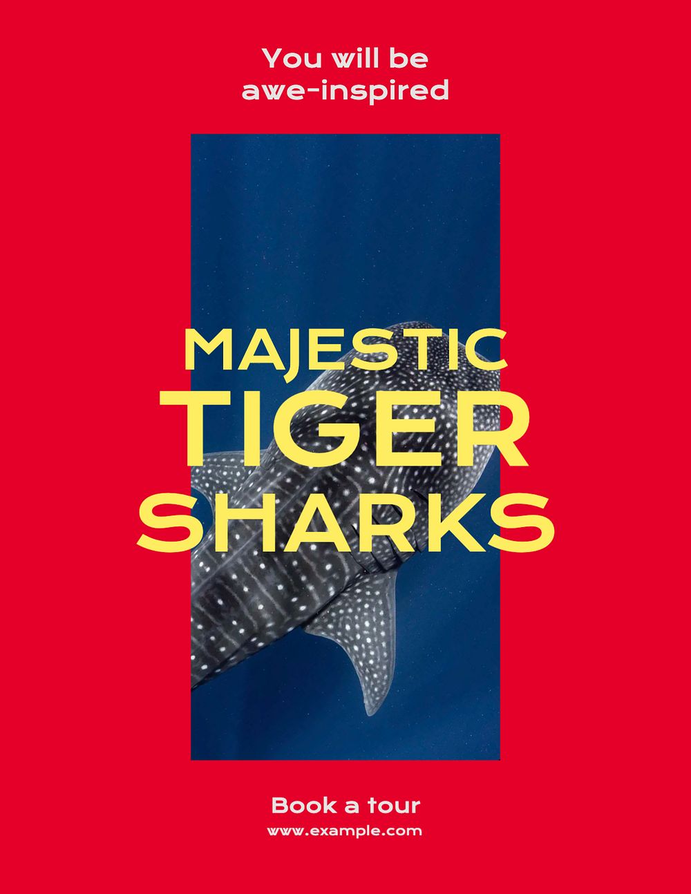 Tiger sharks flyer template, editable text