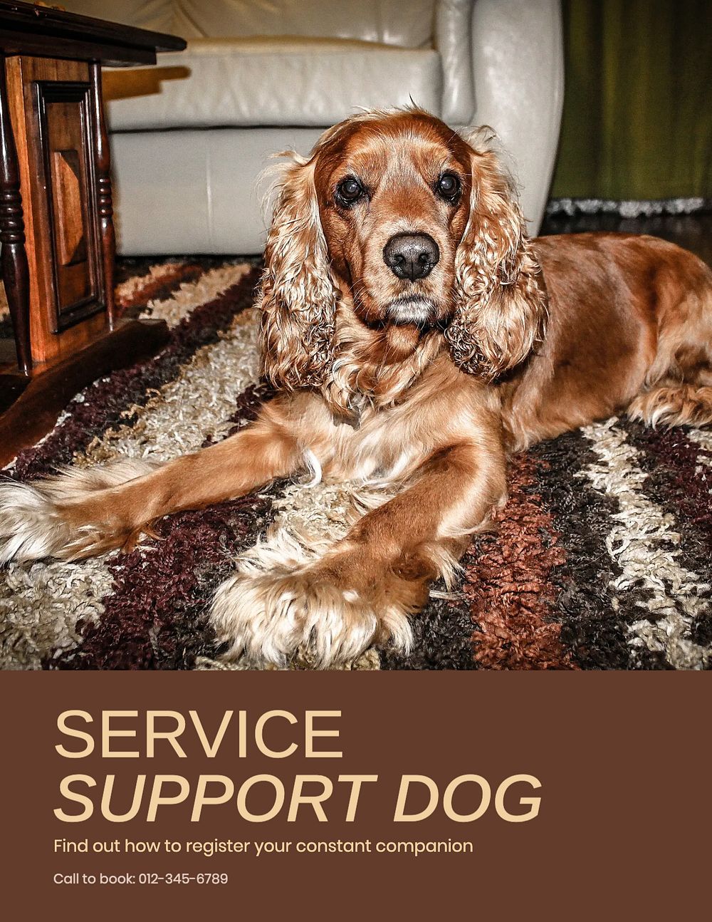 Service support dog flyer template, editable text & design