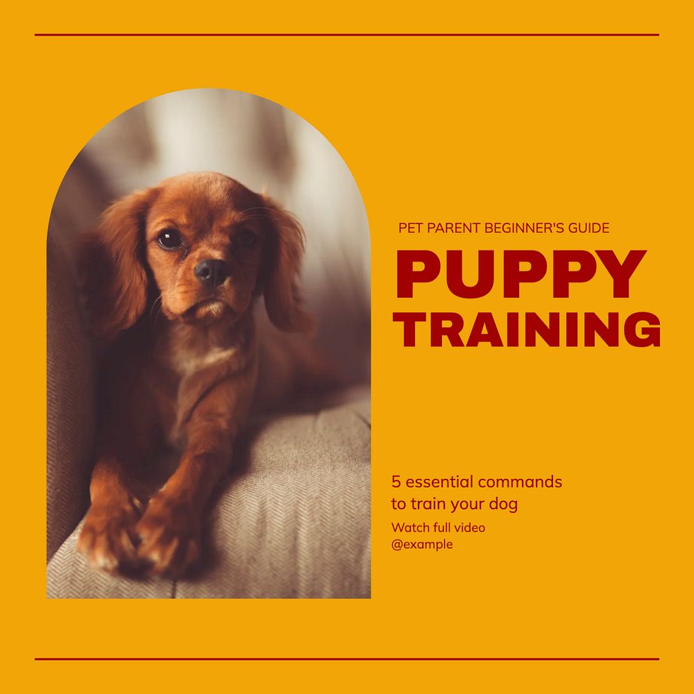 Dog training Instagram post template, editable design