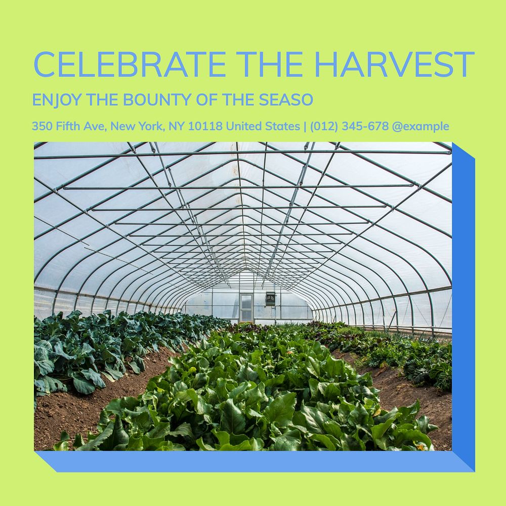 Harvest farm agriculture Instagram post template, editable design