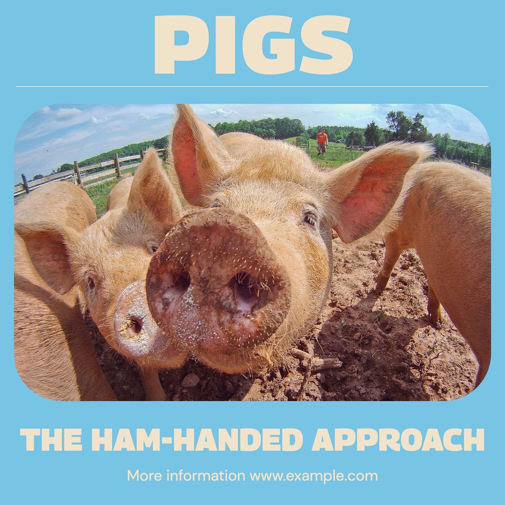 Pigs Instagram post template, editable design