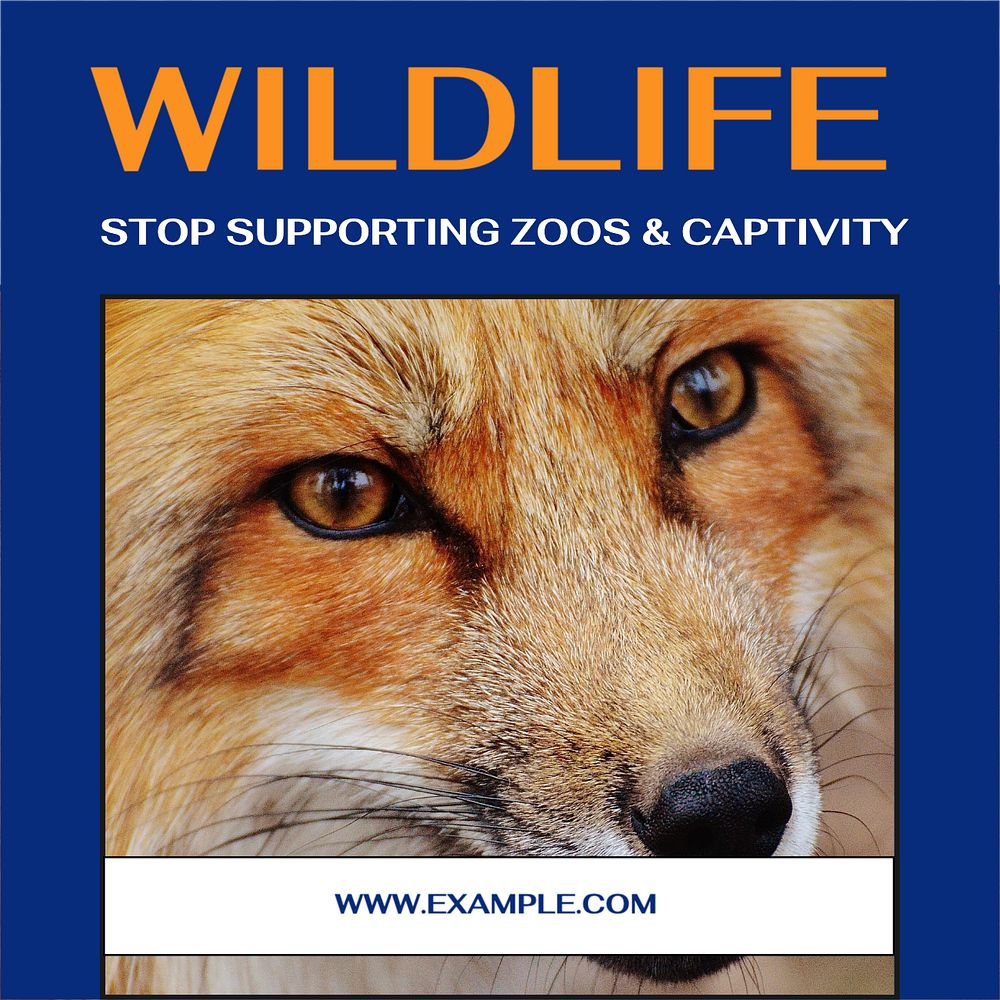 Stop wildlife captivity Instagram post template, editable design