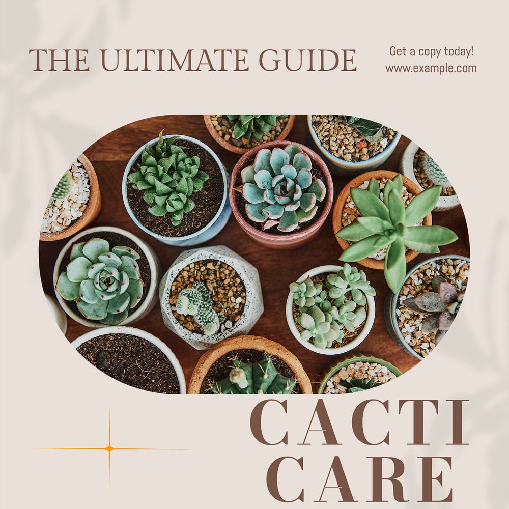 Cacti care book Instagram post template, editable social media design