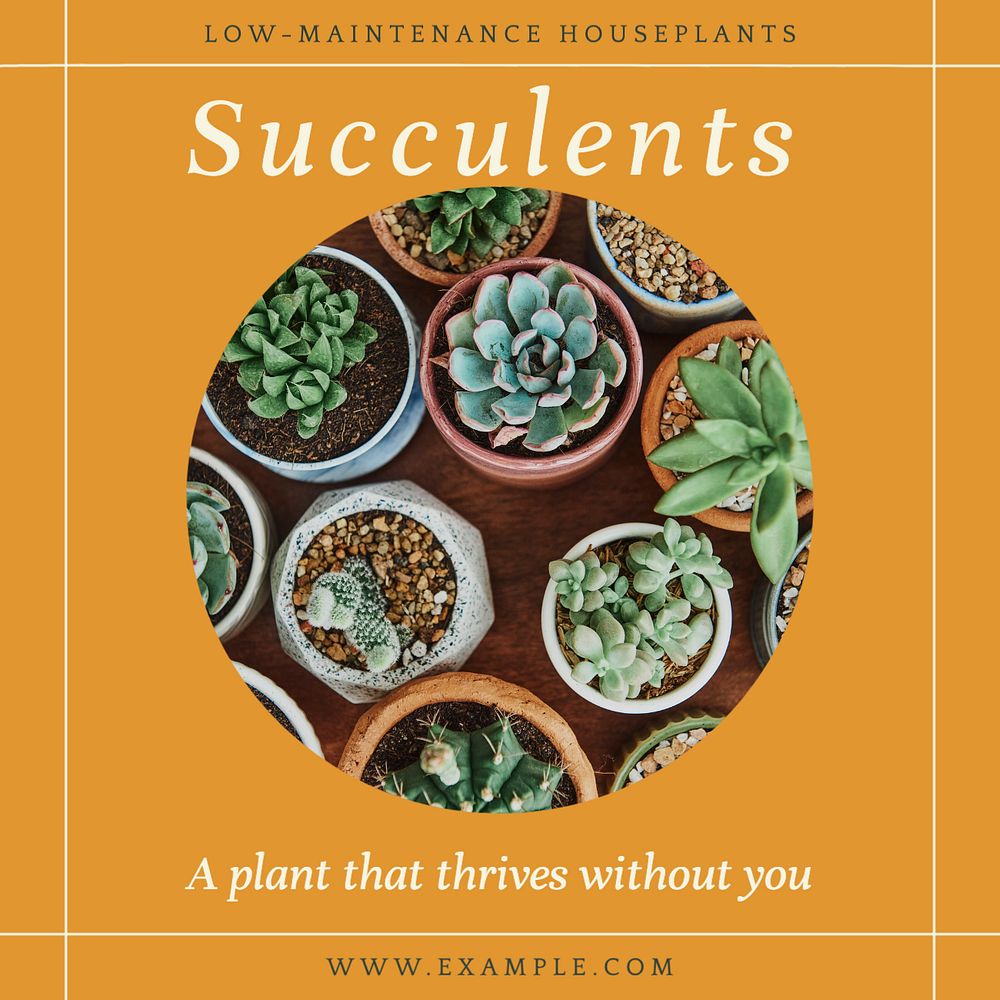 Succulents Instagram post template, editable social media design