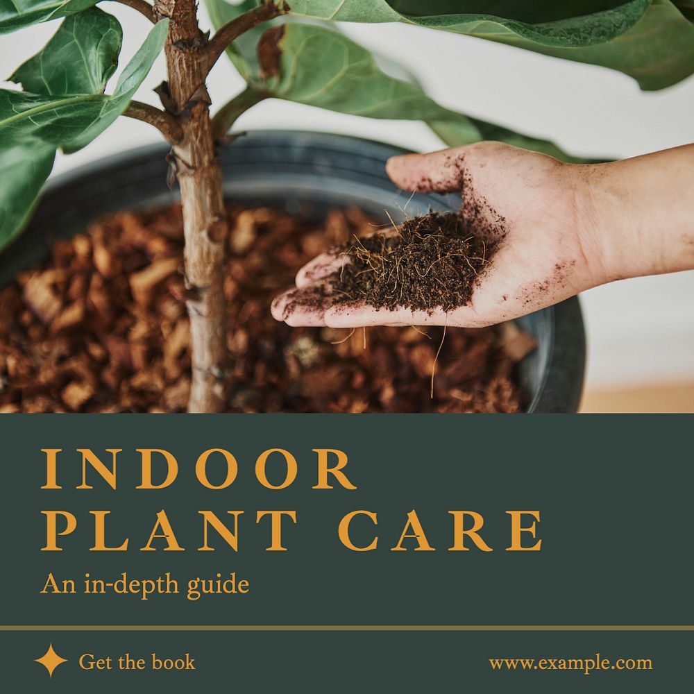 Indoor plant care Instagram post template, editable social media design