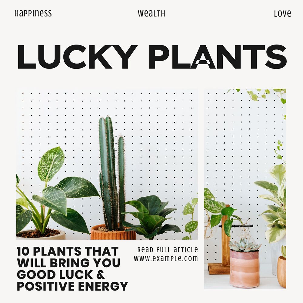 Lucky plants Instagram post template, editable social media ad