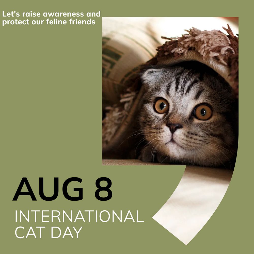 International cat day Instagram post template, editable design