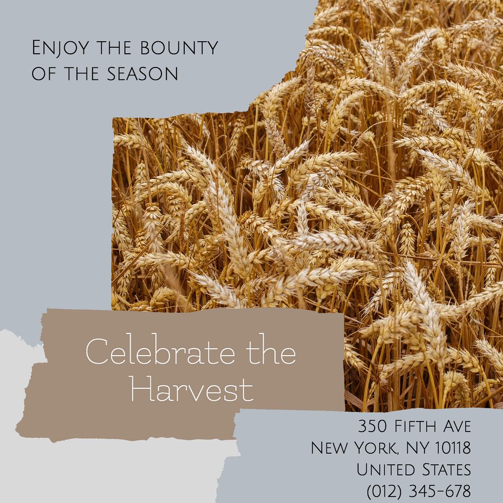 Celebrate the harvest Instagram post template, editable social media ad