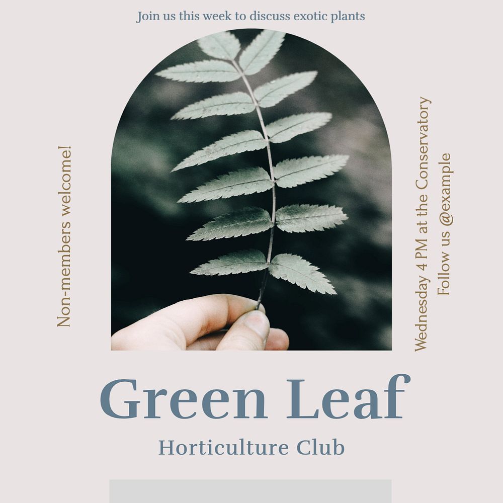 Green leaf club Instagram post template, editable design