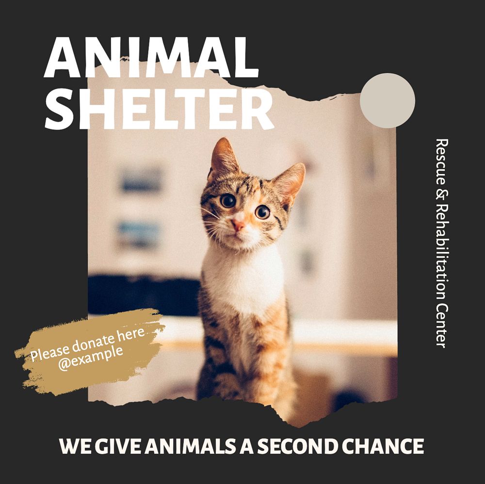 Animal shelter social media template, editable design