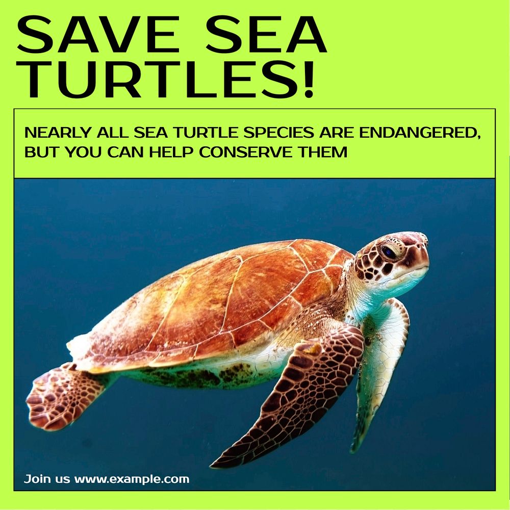 Save sea turtles Instagram post template, editable design