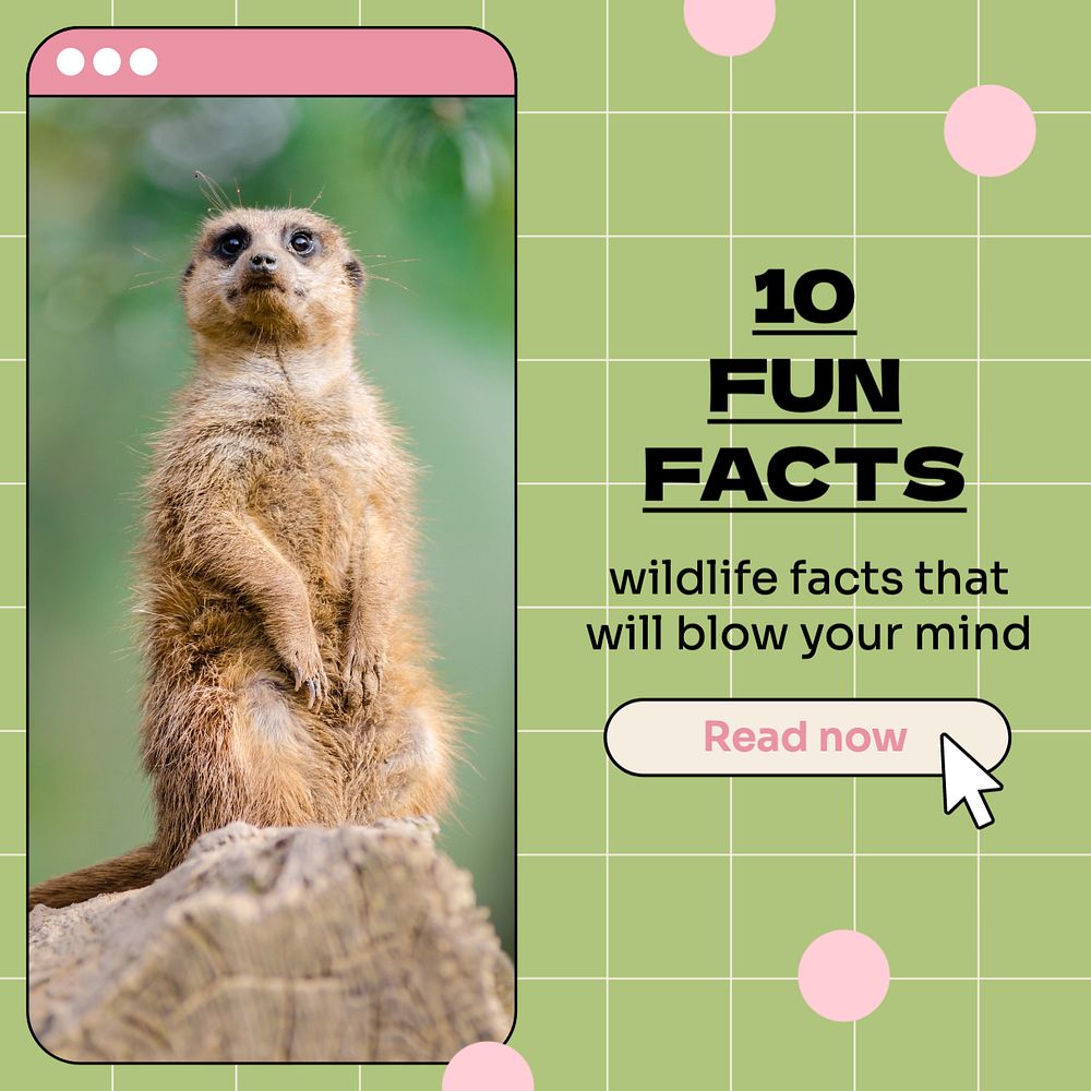 Fun facts Instagram post template, editable design