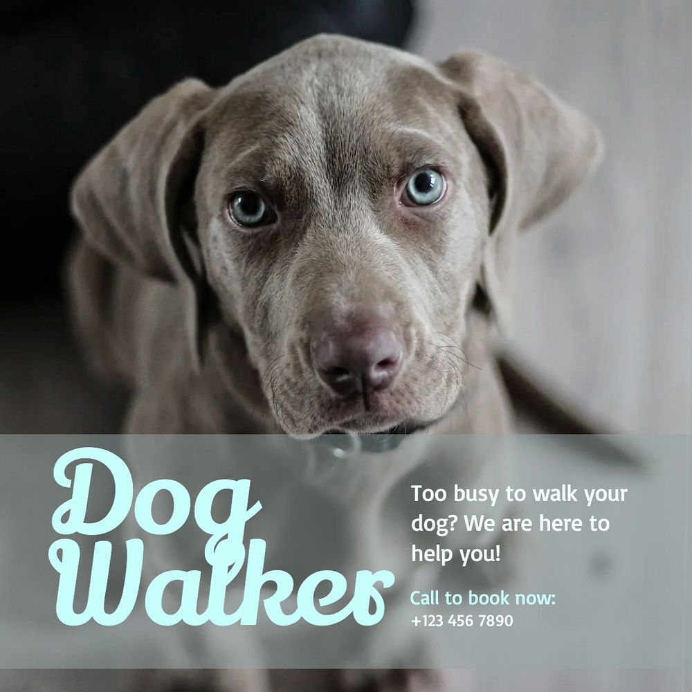 Dog walking service post template, editable social media design