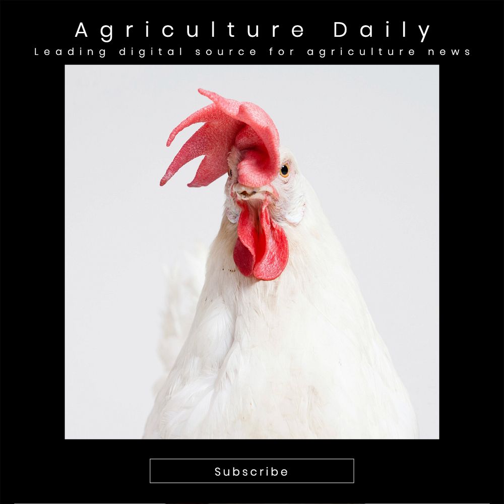 Agriculture daily Instagram post template, editable design