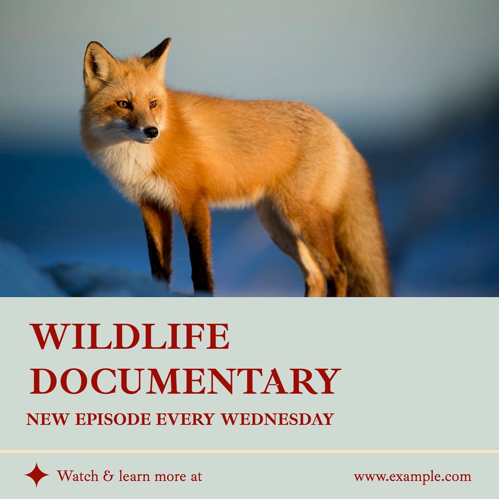 Wildlife documentary Instagram post template, editable design