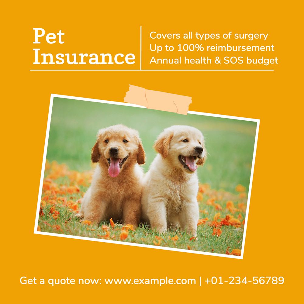 Pet insurance Instagram post template, editable social media design