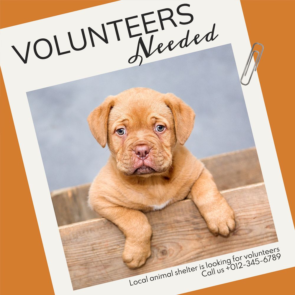 Volunteers needed Instagram post template, editable design