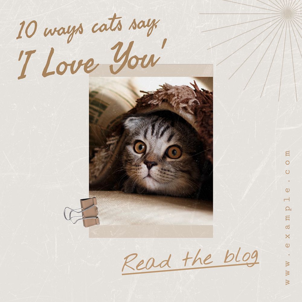 Cats blog Instagram post template, editable text