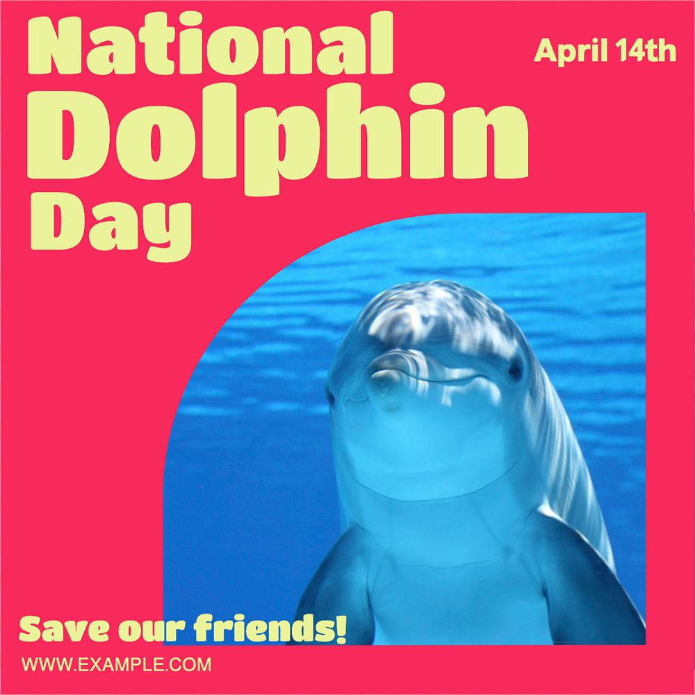 National dolphin day Instagram post template, editable text