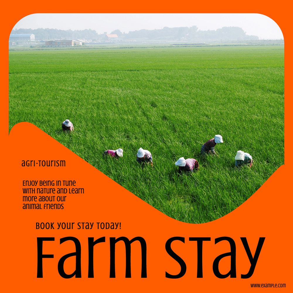 Farm stay Instagram post template, editable text