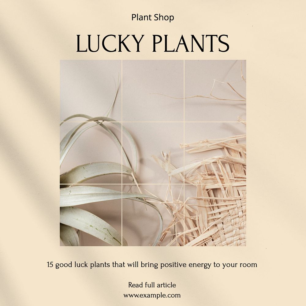 Lucky plants Instagram post template, editable text