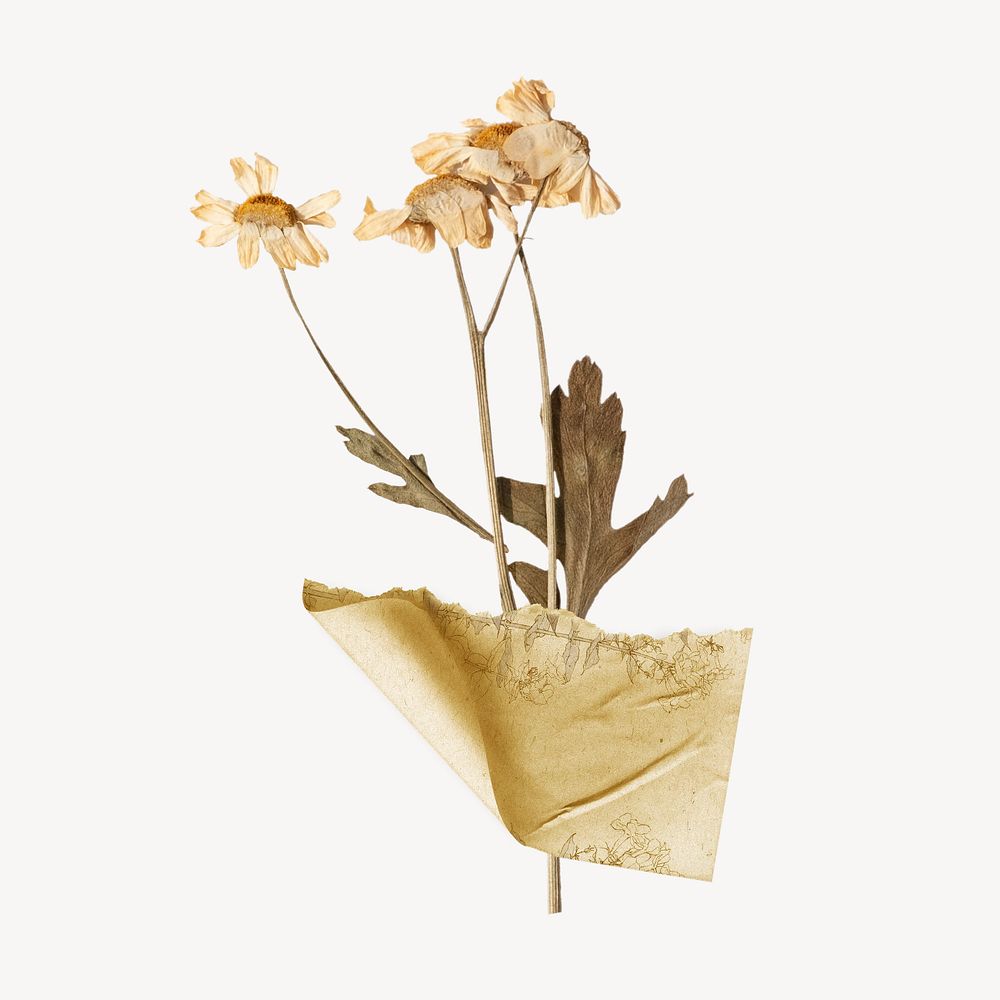 PNG Dried flower, ripped paper design