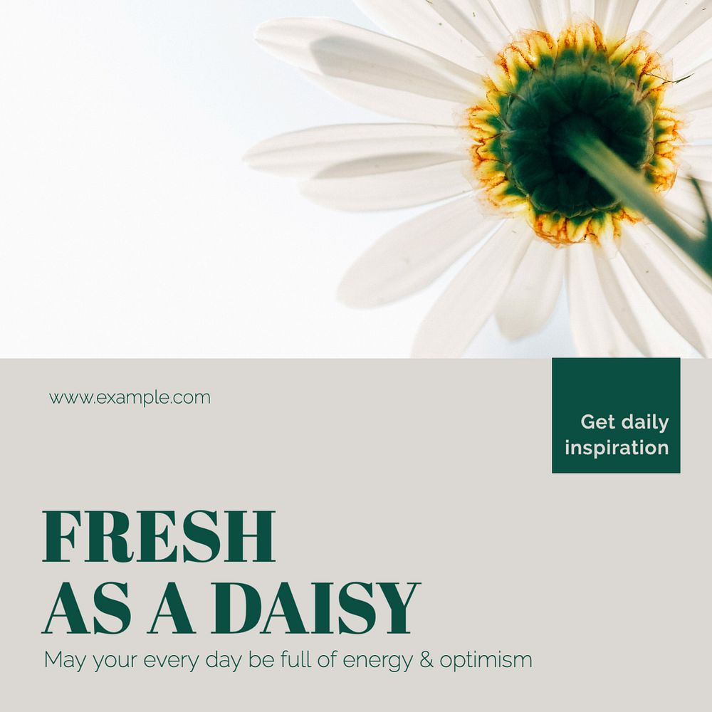 Daisy & positivity Instagram post template, editable text