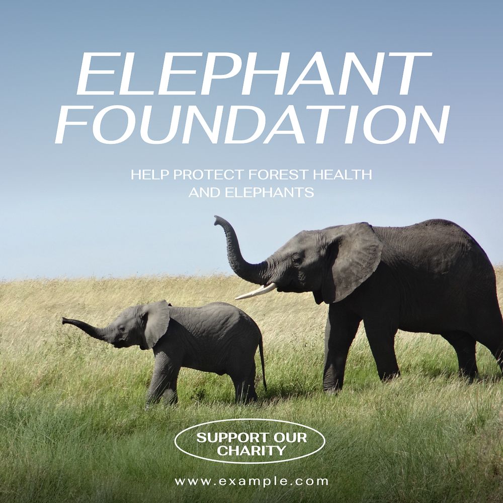 Elephant foundation Instagram post template, editable text