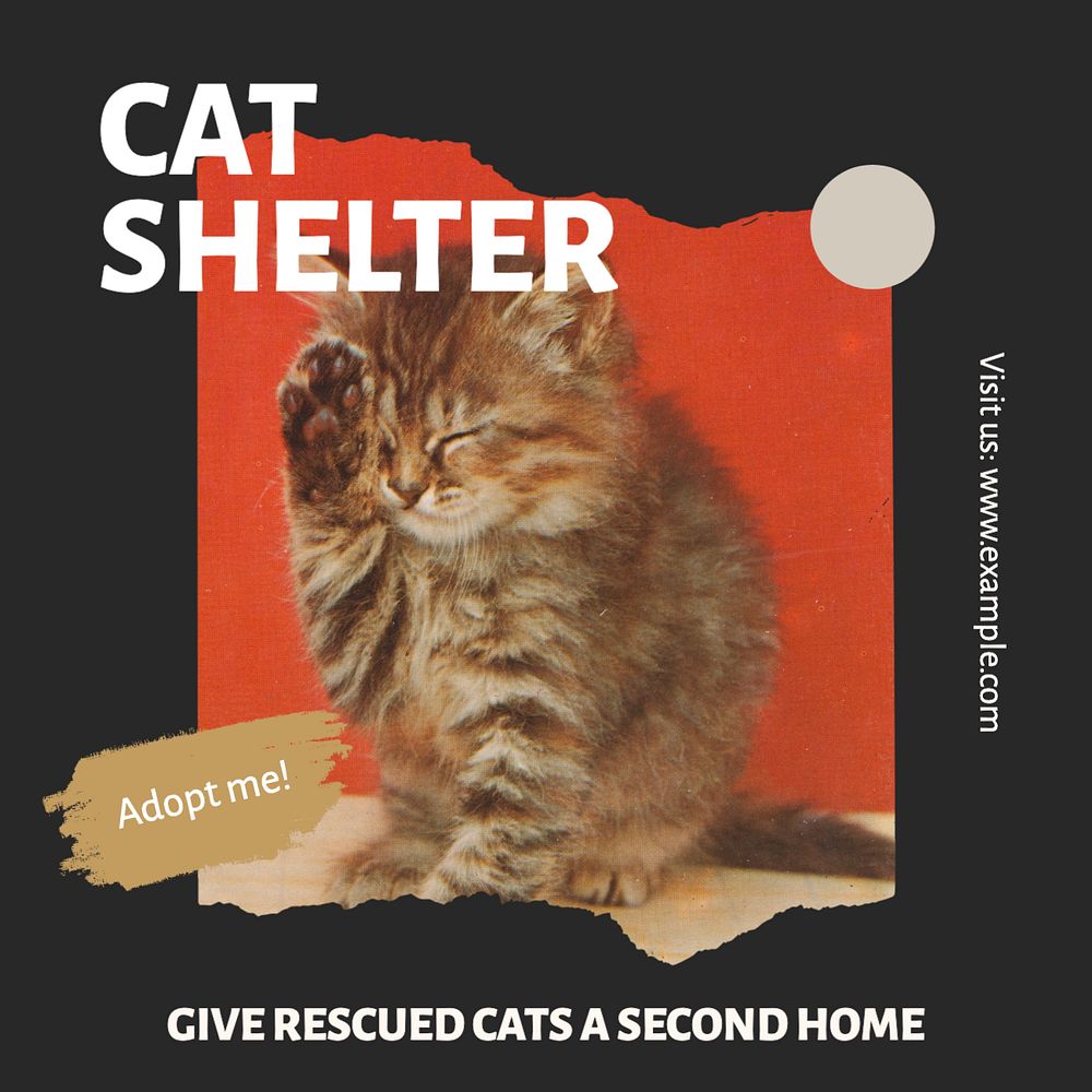 Cat shelter Instagram post template, editable text