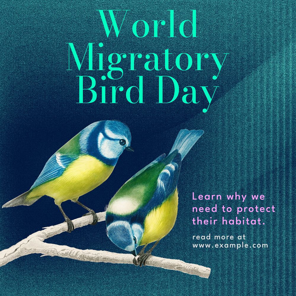 Migratory bird day Instagram post template, editable text