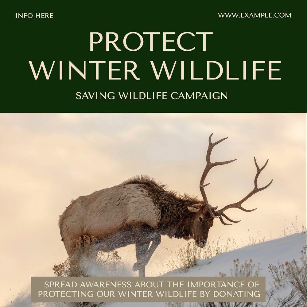 Protect winter wildlife Instagram post template, editable text