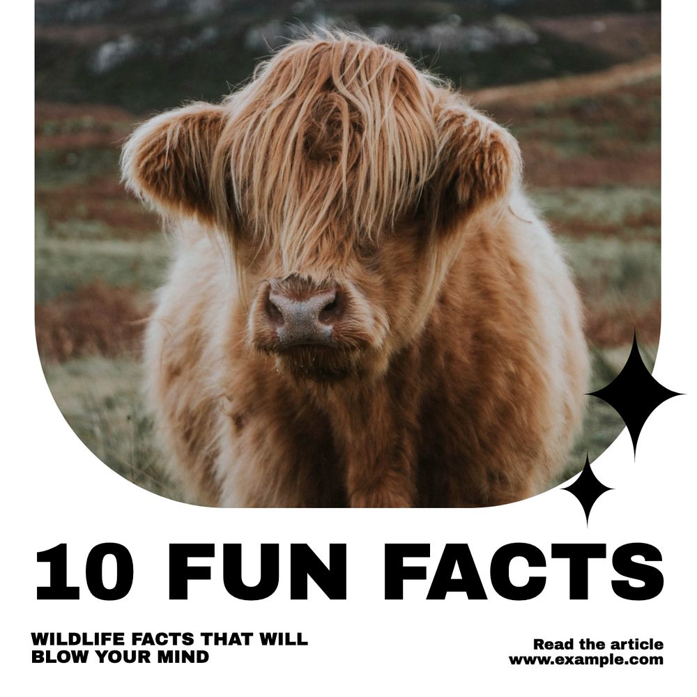 Fun facts Instagram post template, editable text