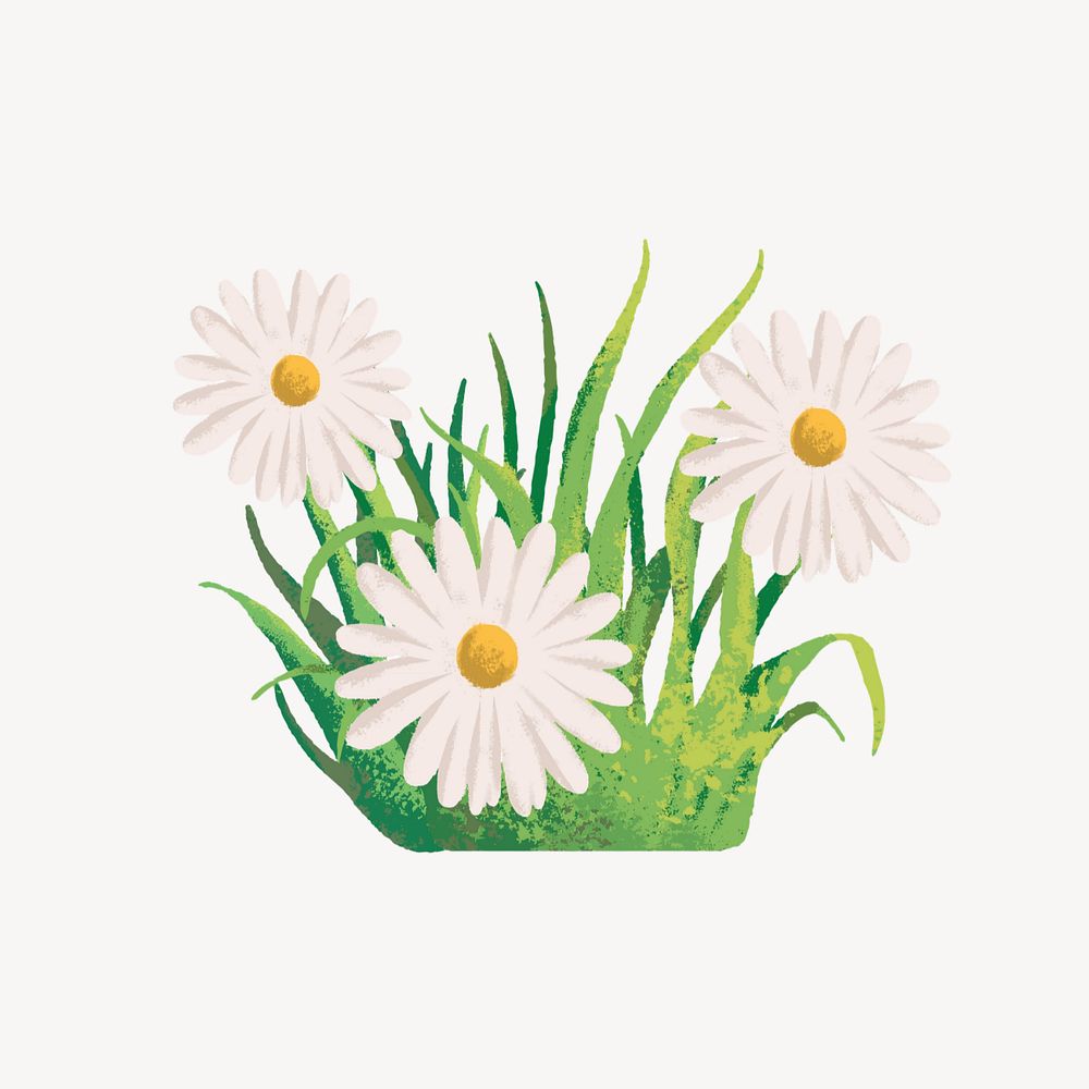 Editable daisy grass, painting illustration