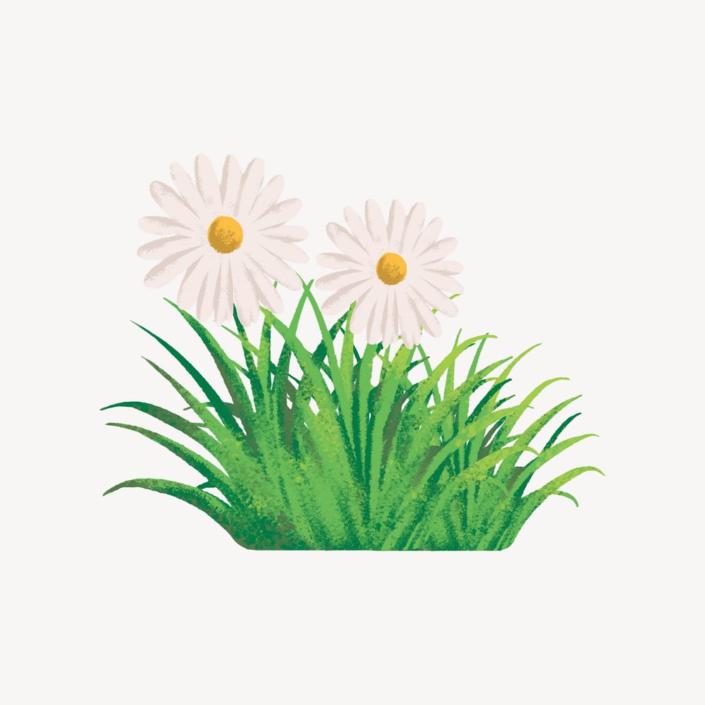 Editable daisy grass, painting illustration