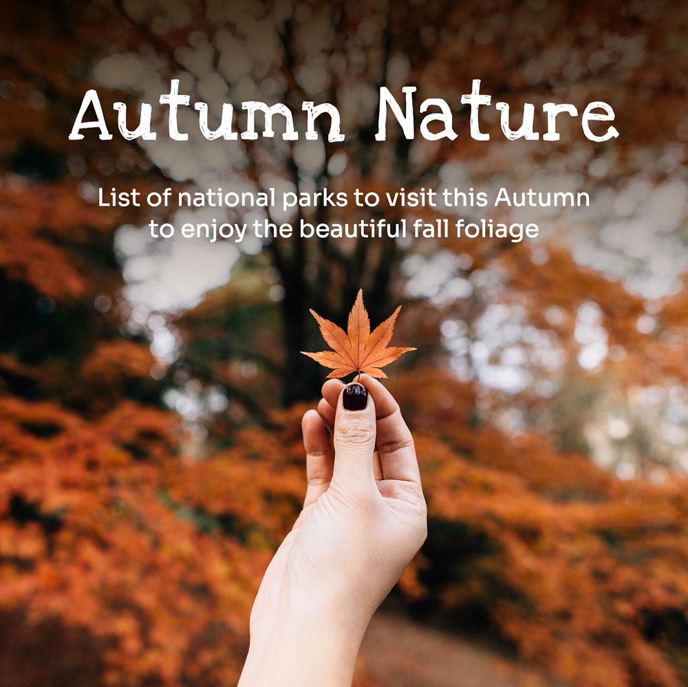 Autumn nature Instagram post template, editable text