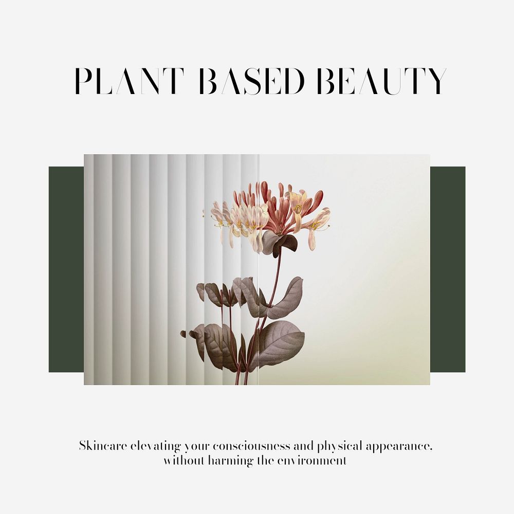 Plant aesthetic Instagram post template