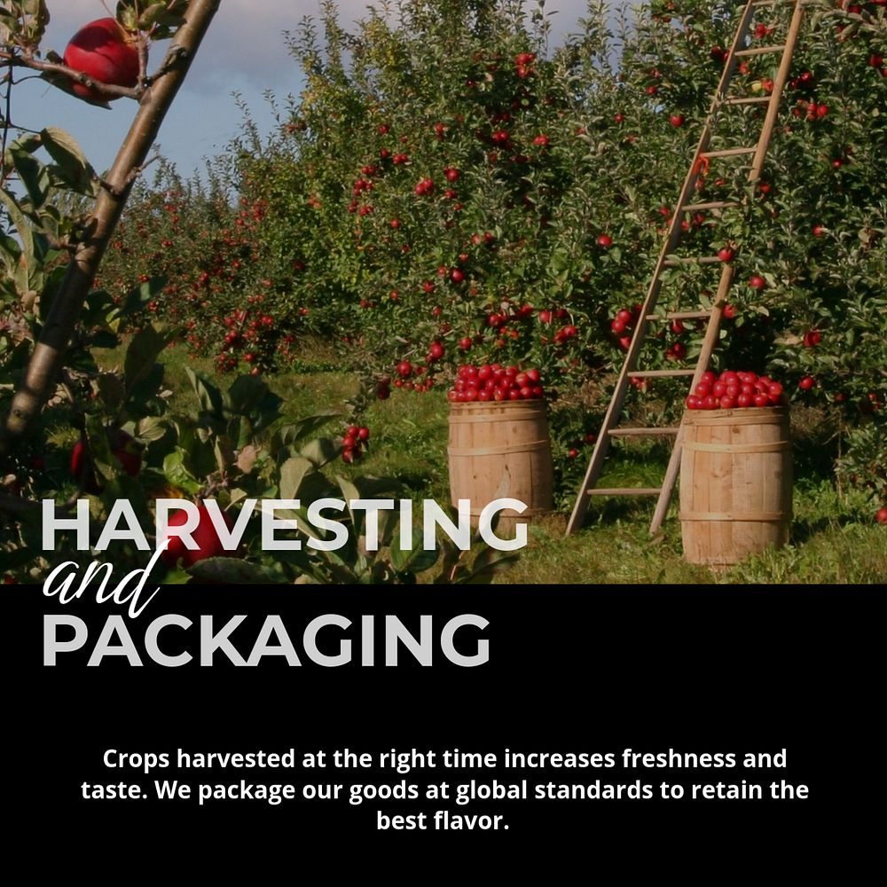 Fruit harvest Facebook ad template, smart farming design