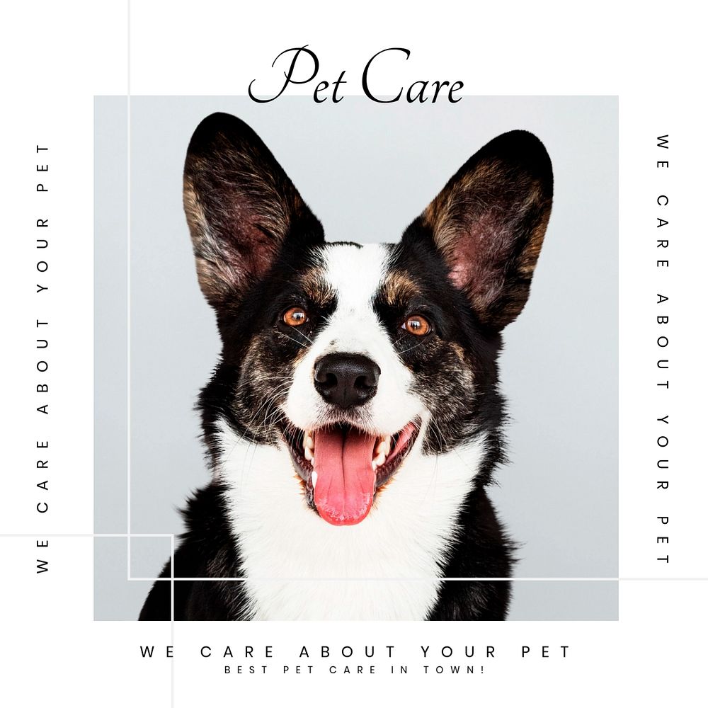 Pet care Instagram post template, cute puppy photo