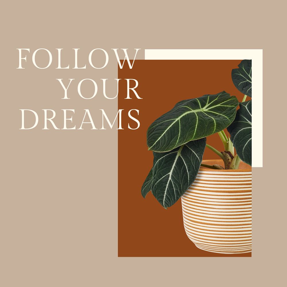 Positive quote instagram post template, houseplants design, editable text