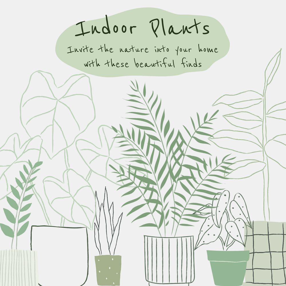 Cactus care Instagram post template, editable design