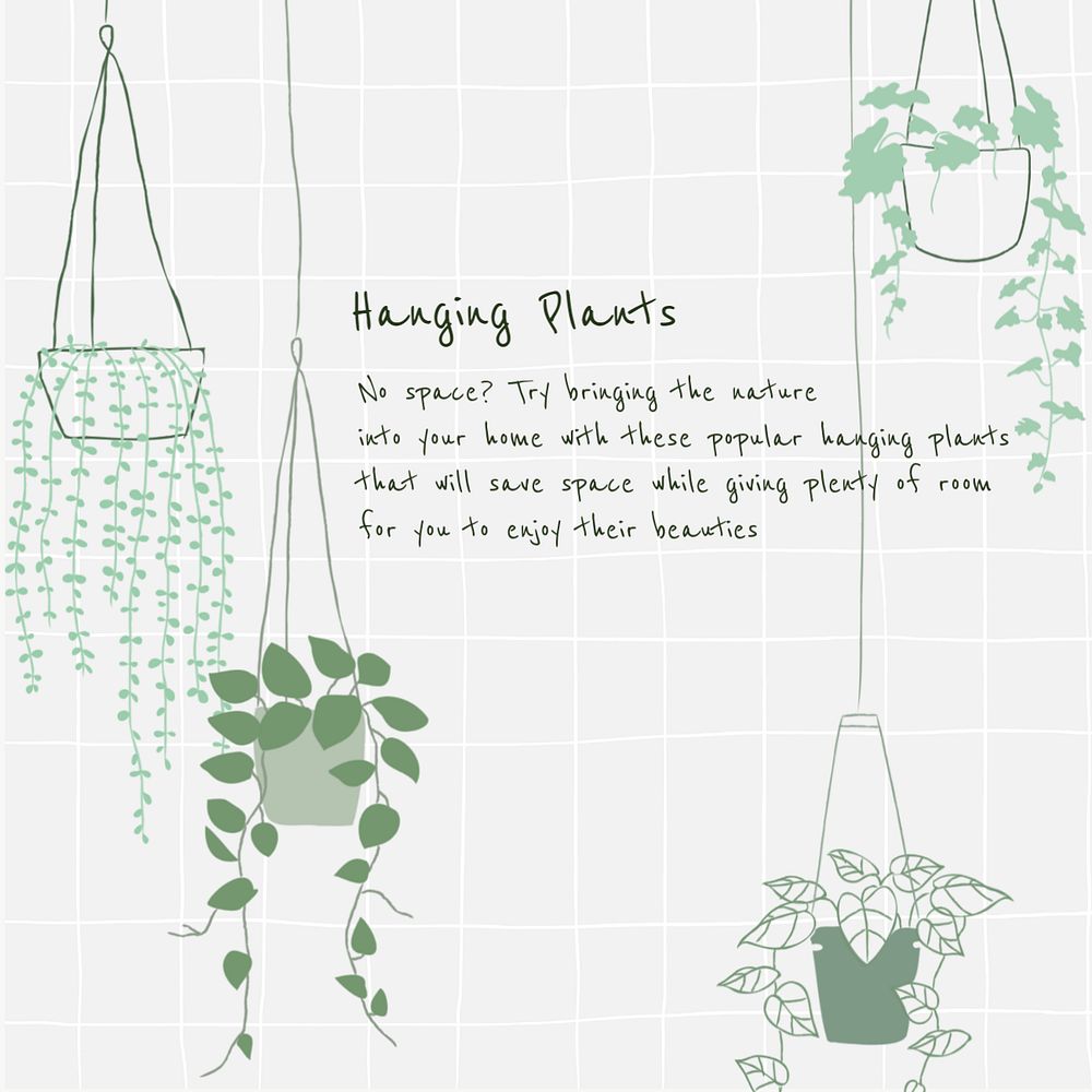 Hanging plants Instagram post template, editable design