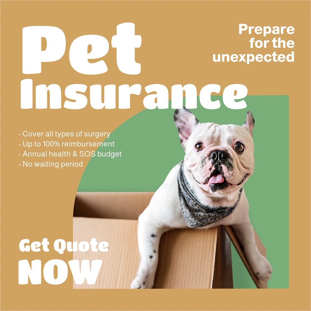 Pet insurance Instagram post template, editable design