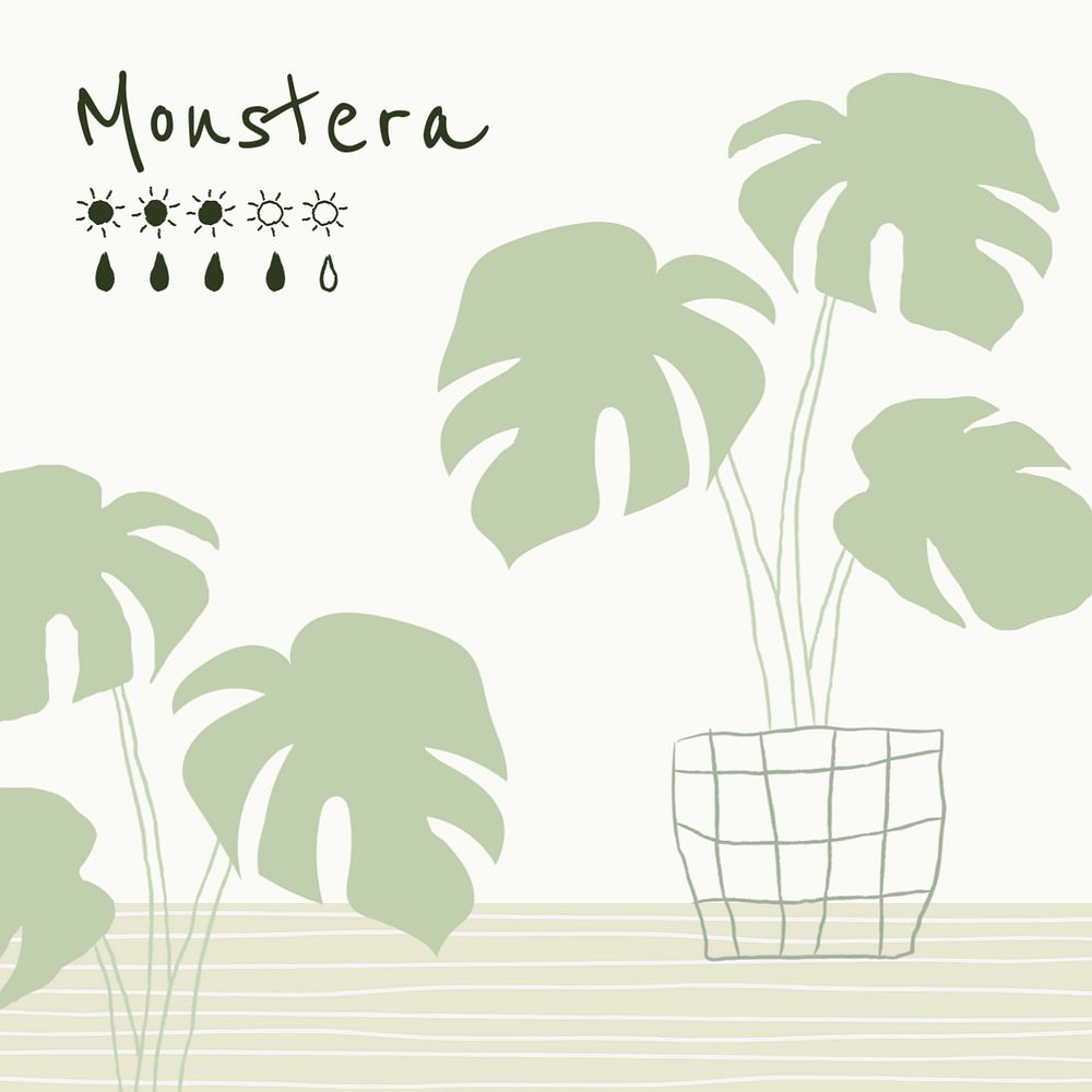 Monstera care Instagram post template, editable design