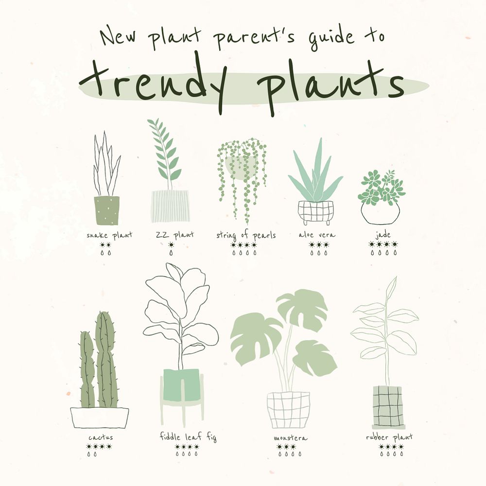 Trendy houseplants Instagram post template, editable design