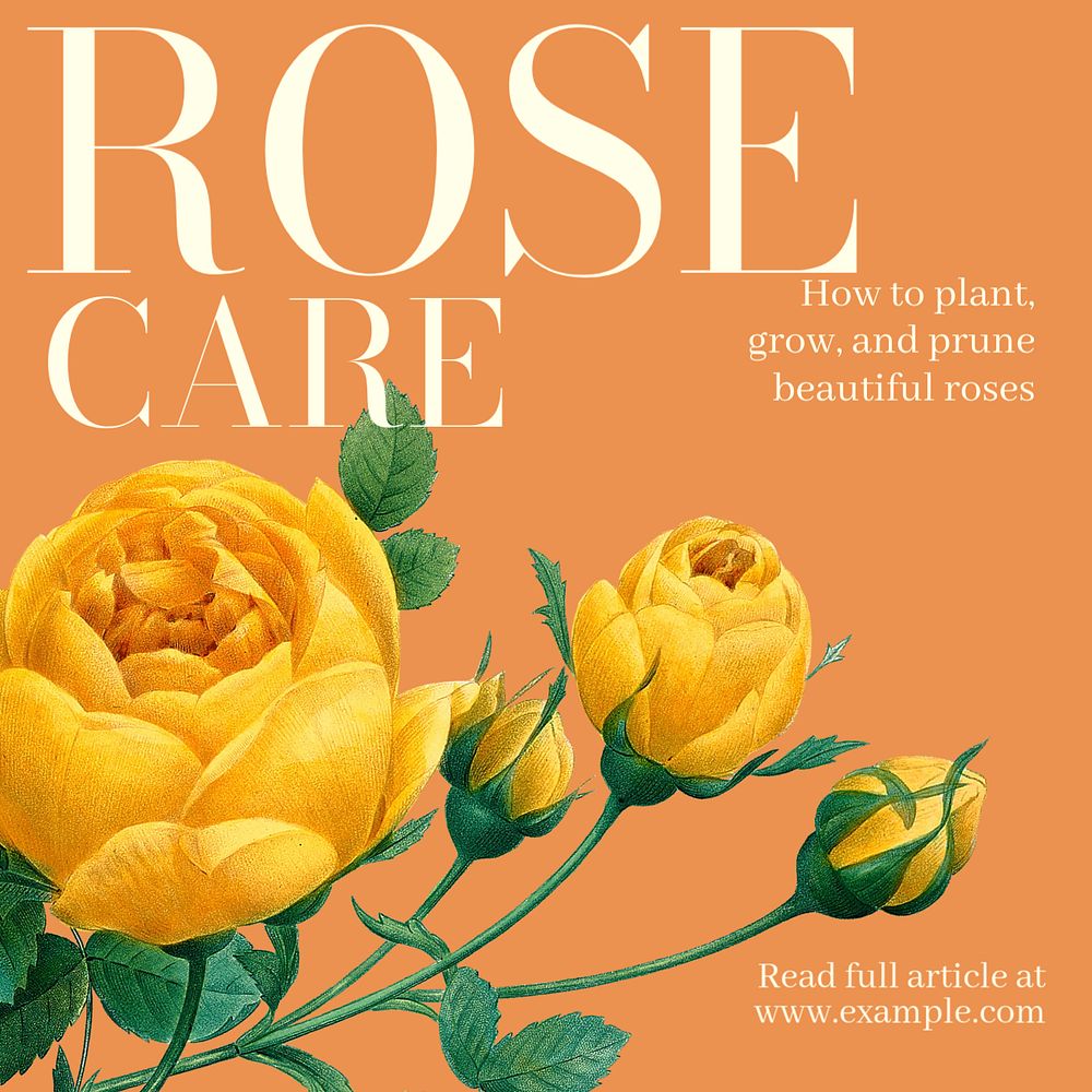 Rose care Facebook post template, editable design