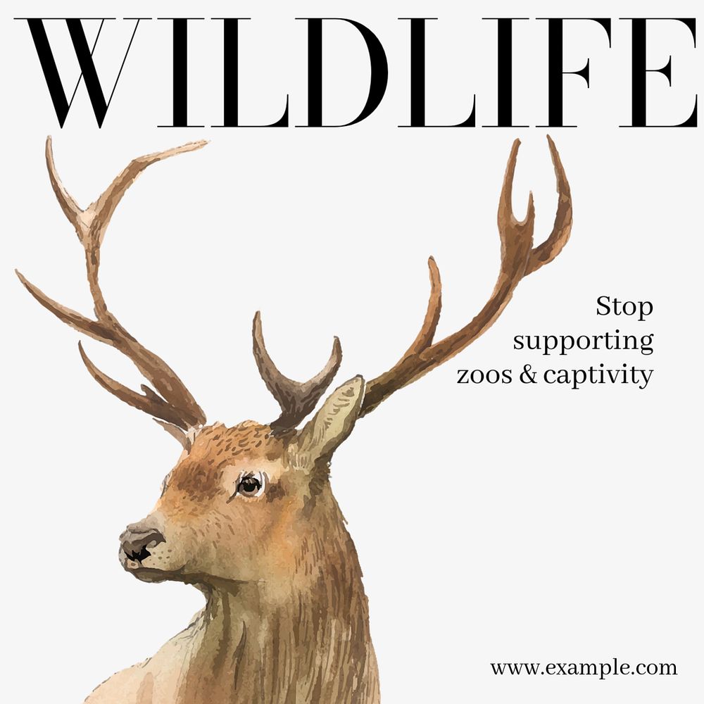 Wildlife Facebook post template, editable design