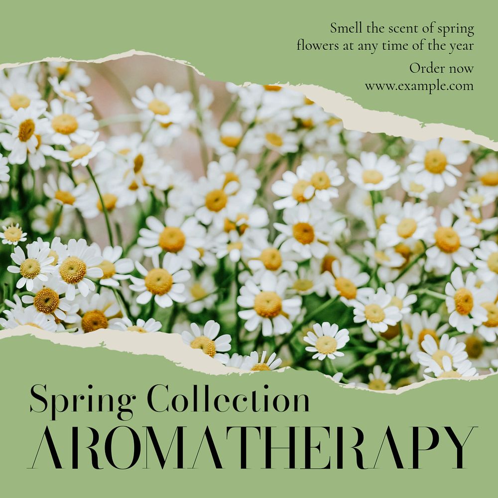 Aromatherapy shop Instagram post template, editable text