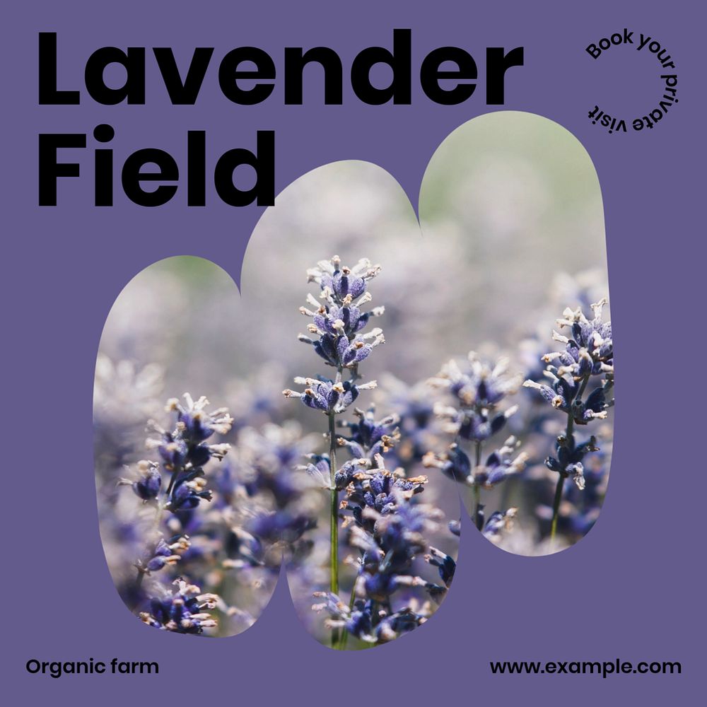 Lavender field Facebook post template, editable design