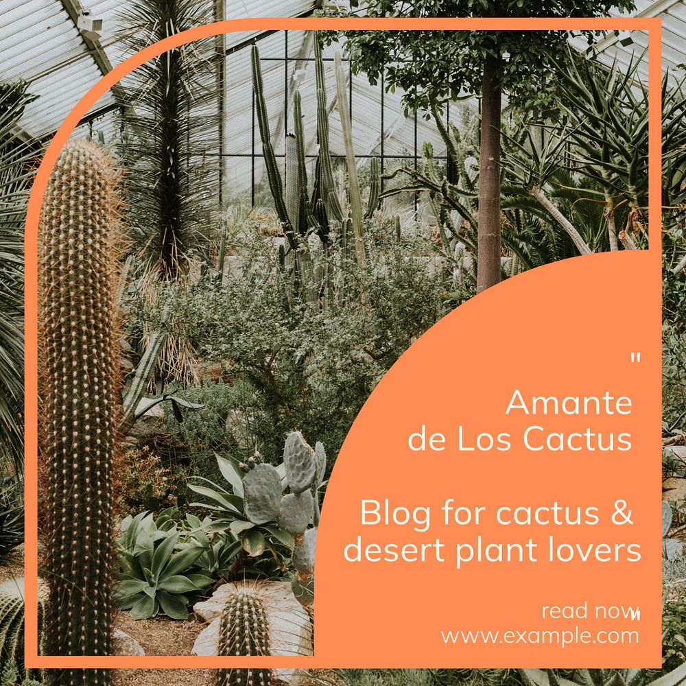 Cactus lovers Instagram post template, editable text